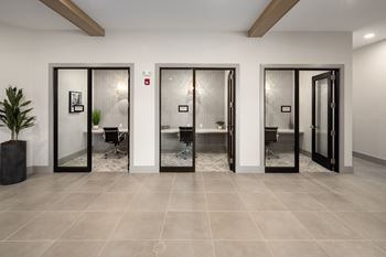 A room with three glass doors and a plant.